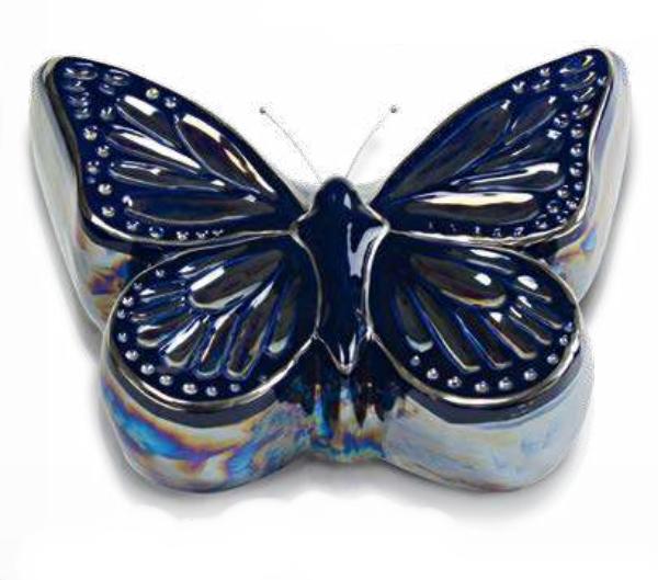 Urna cineraria farfalla